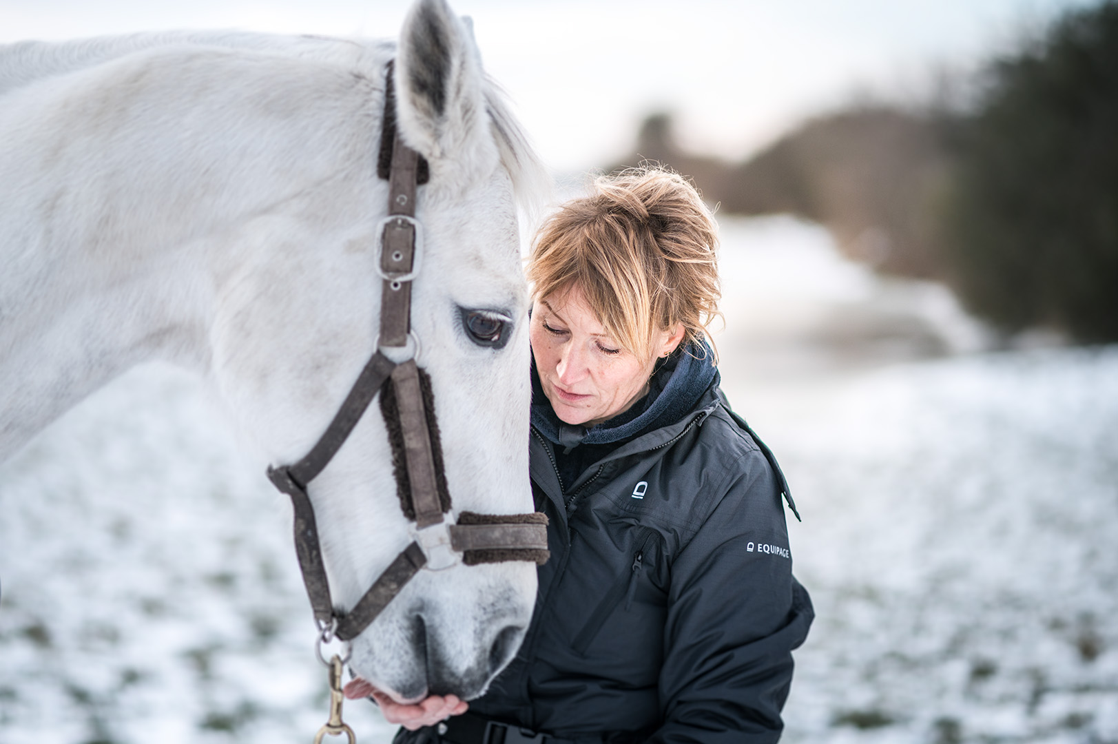 Dyrlæge Gitte Frost Baunbæk Hestepraksis Lillebælt og Omegn